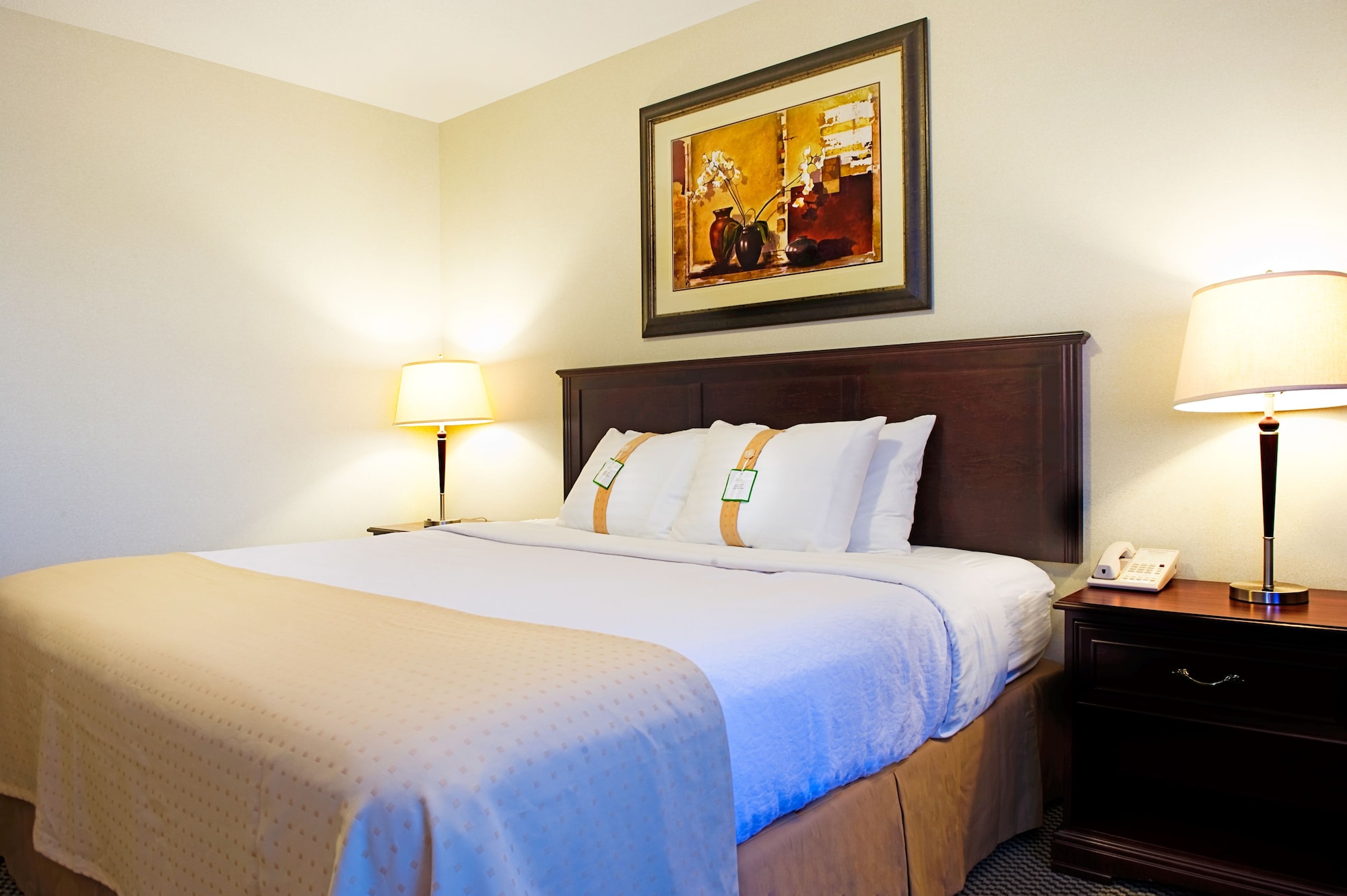 holiday inn hotel and suites lloydminster by ihg