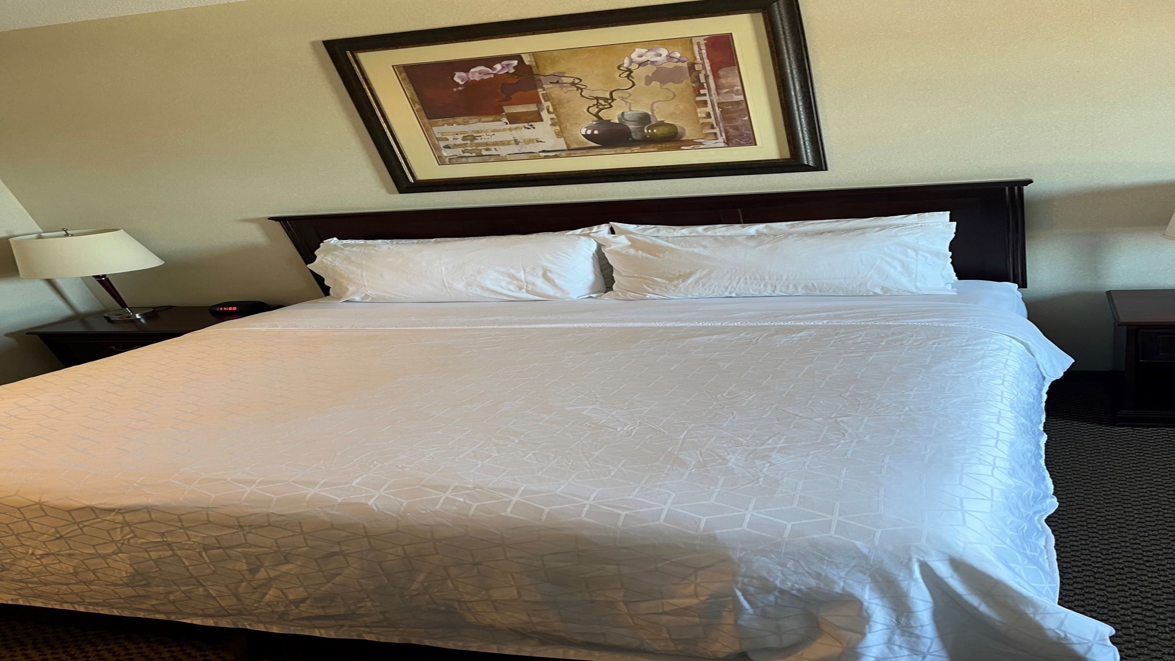 holiday inn hotel and suites lloydminster by ihg