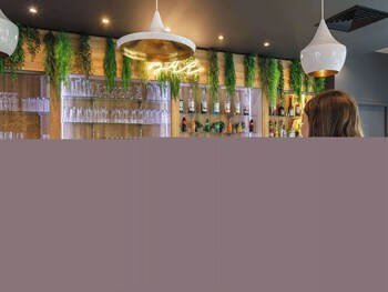 ibis lyon carre de soie hotel