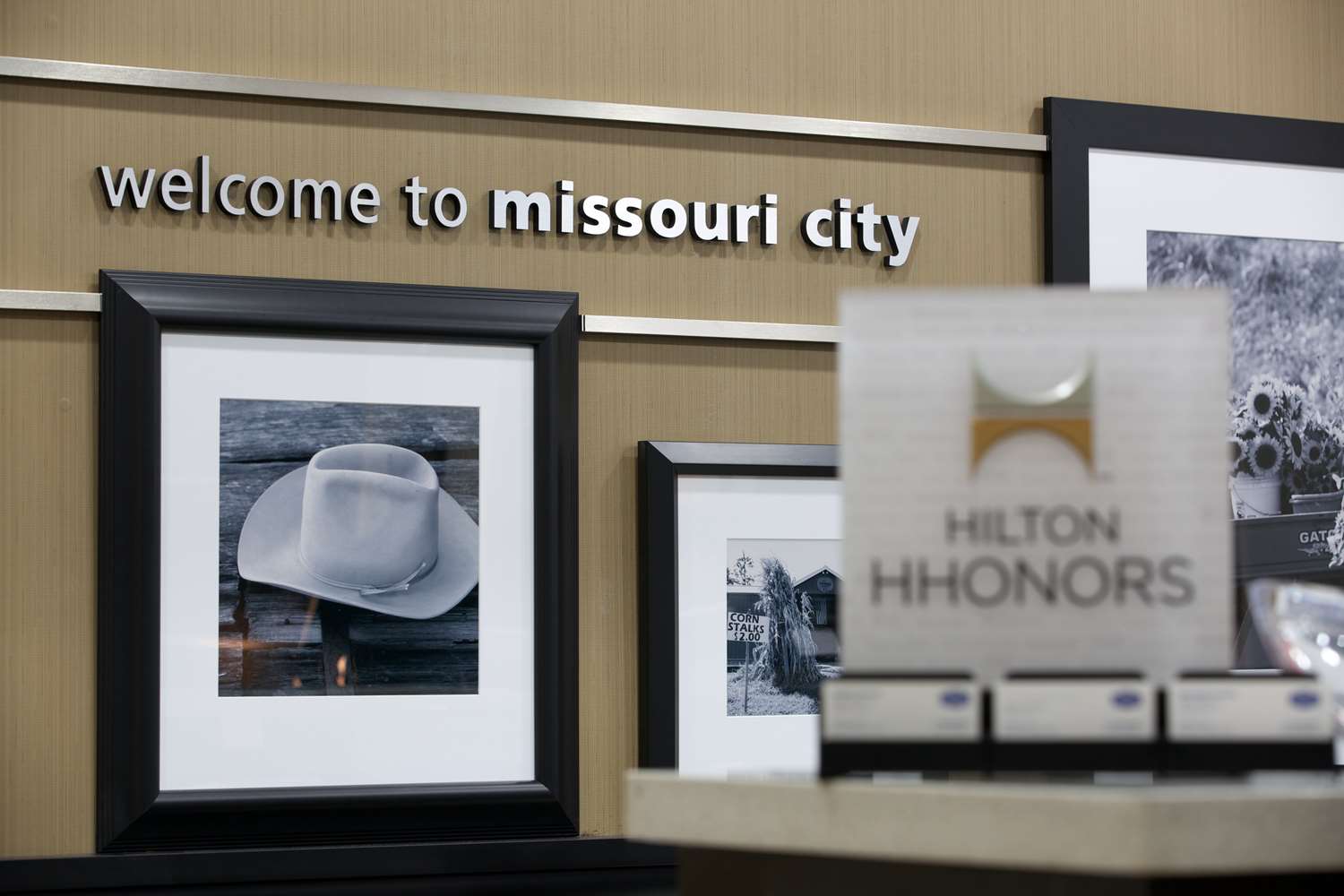 hampton inn and suites missouri city tx