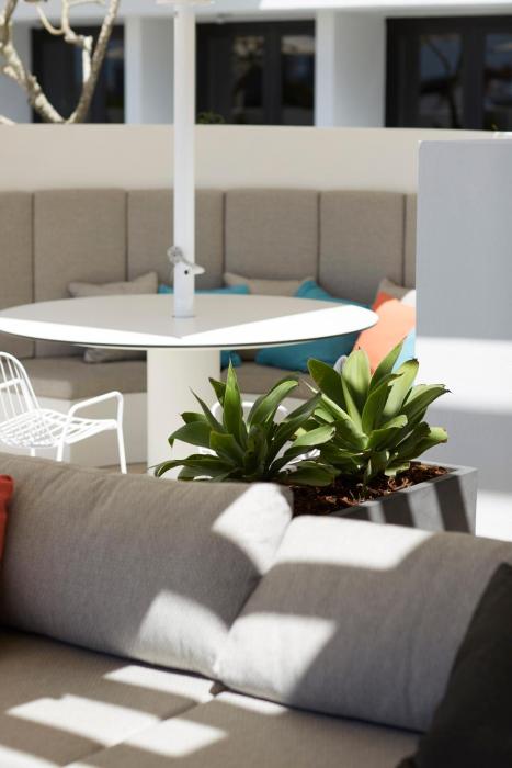 art series the johnson