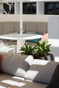 art series the johnson