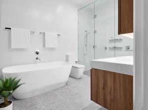 art series the johnson