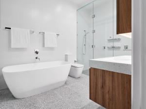 art series the johnson