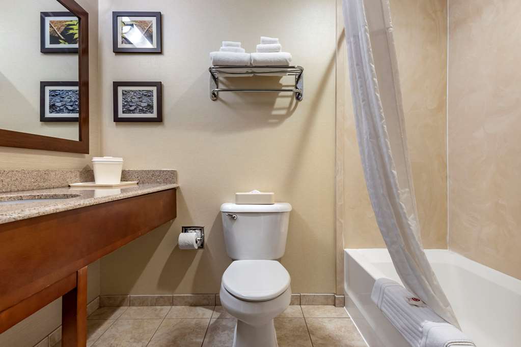 comfort inn and suites farmington victor