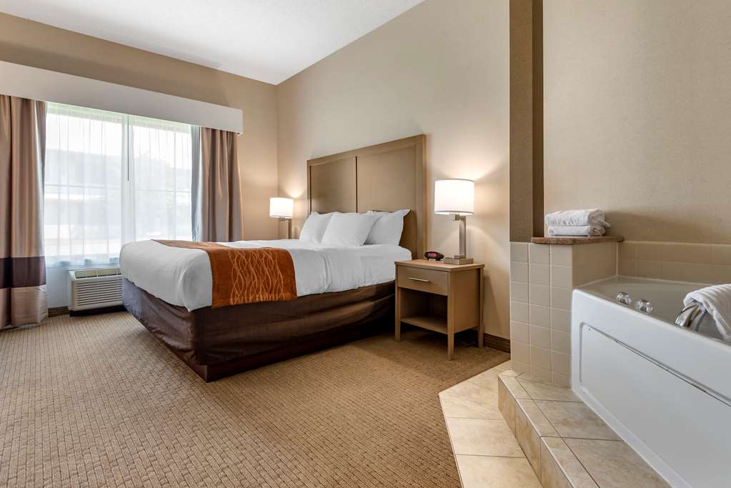 comfort inn and suites farmington victor
