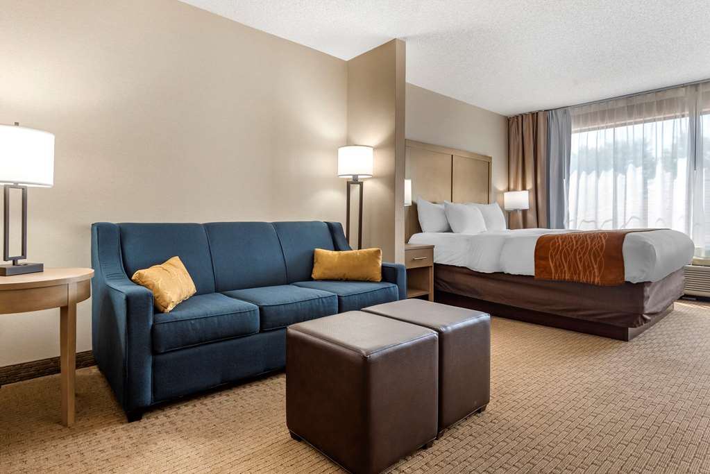 comfort inn and suites farmington victor