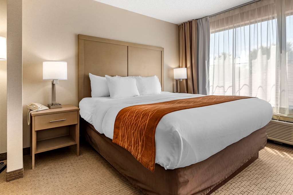 comfort inn and suites farmington victor