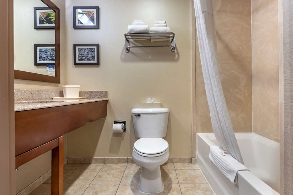 comfort inn and suites farmington victor
