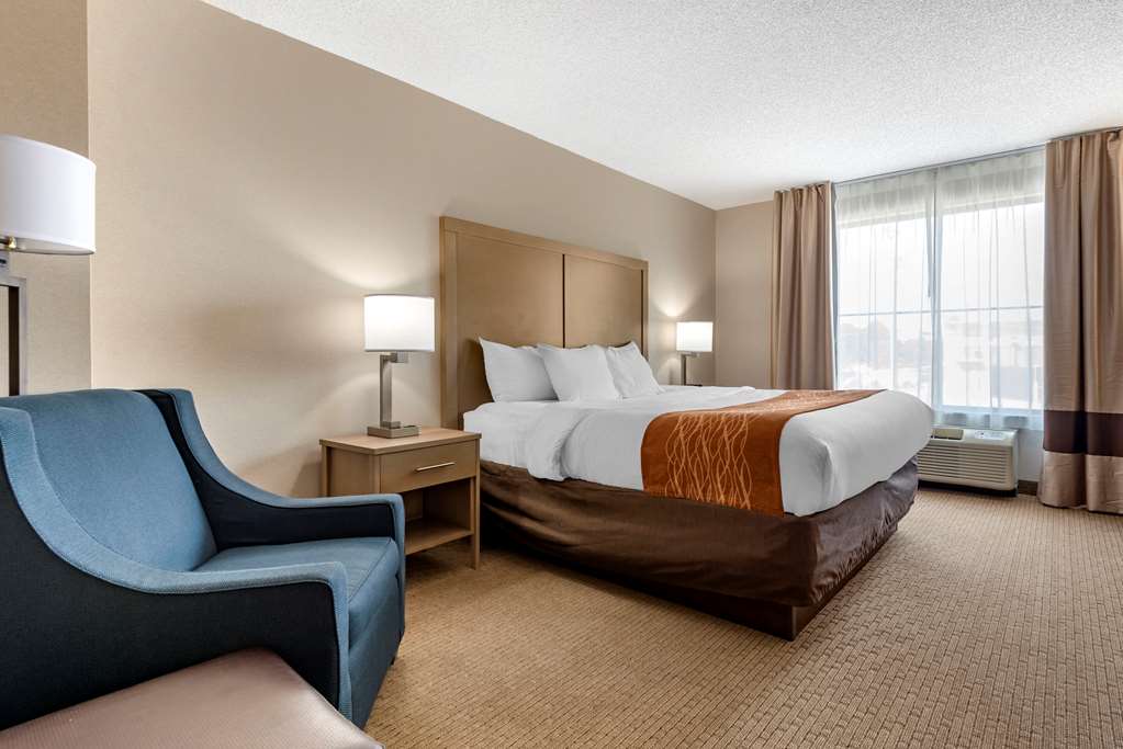 comfort inn and suites farmington victor