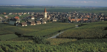 Ibis Strasbourg Sud La Vigie,Fegersheim>>Bas-Rhin,3 star