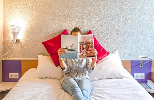 ibis strasbourg sud la vigie