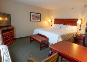 Hampton Inn By Hilton Guadalajara-Aeropuerto,Guadalajara>>El Salto,3 star