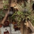 hotel don quijote plaza