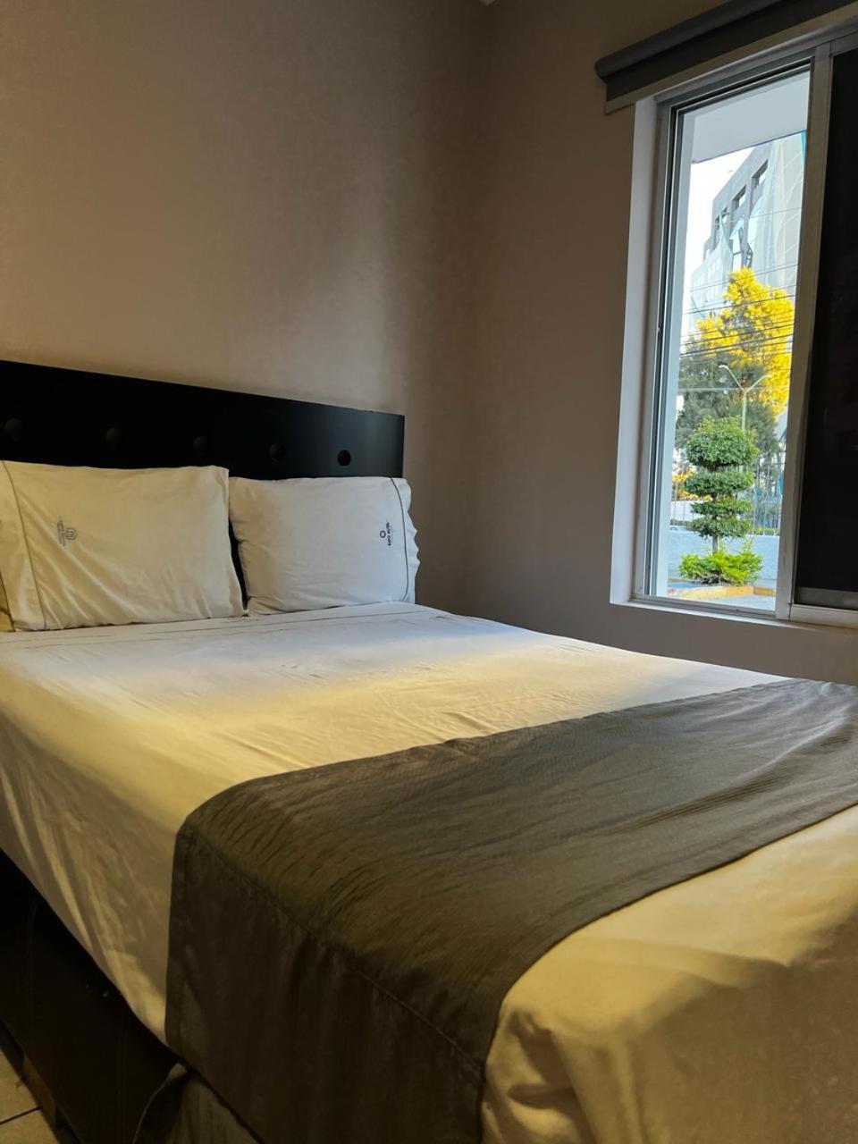 expo hotel guadalajara