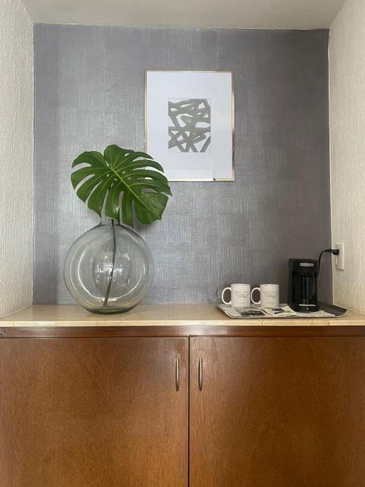 ejecutivo express guadalajara providencia av mexico