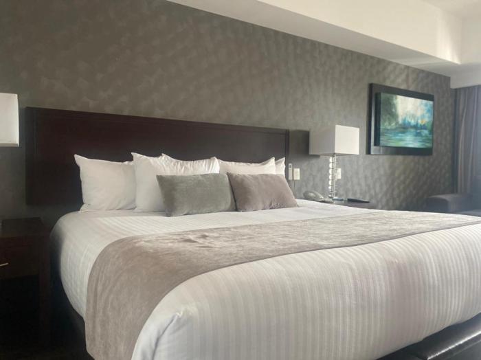 ejecutivo express guadalajara providencia av mexico