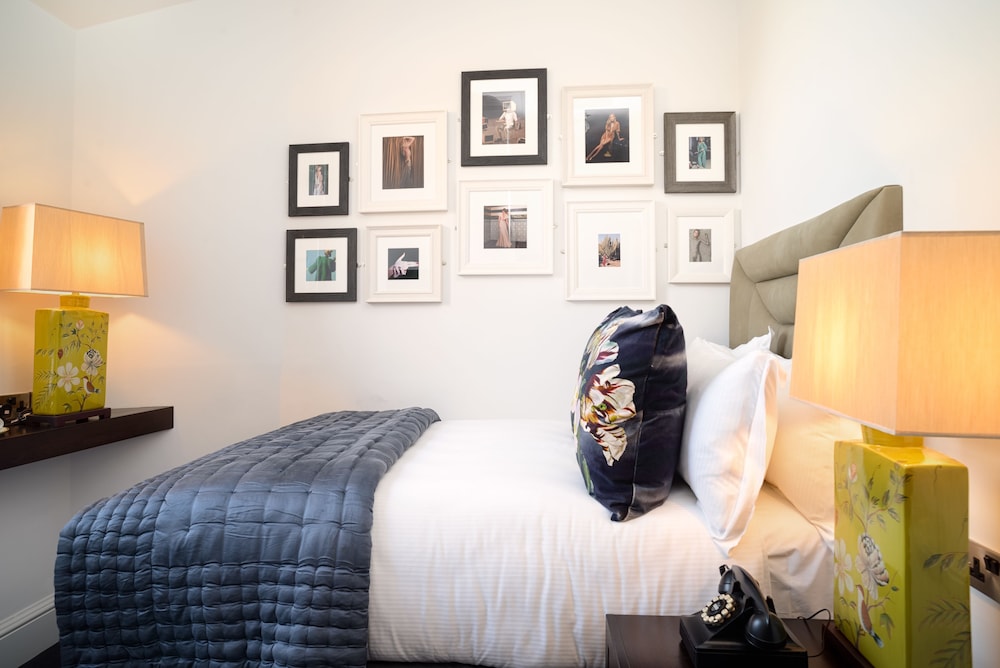 black ivy hotel