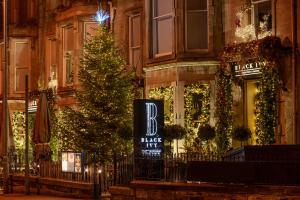 black ivy hotel