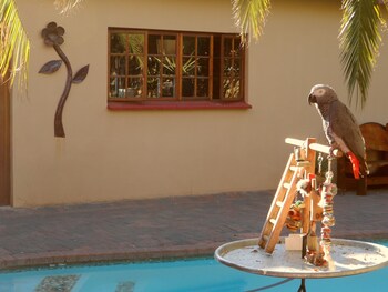 a cherry lane self catering and bandb