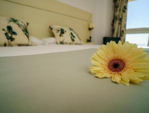 hotel puerto juan montiel spa and base nautica