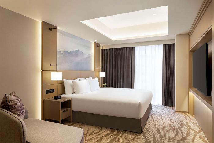 doubletree by hilton toyama