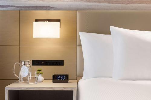 doubletree by hilton toyama