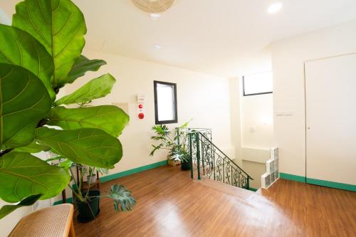 lixia hostel