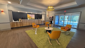 spark by hilton brandon