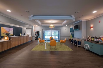 spark by hilton brandon