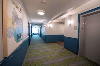 spark by hilton brandon