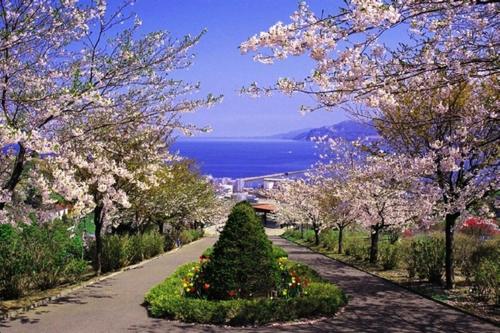 otaru shikkui cottage