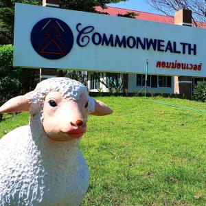 commonwealth hotel and resort