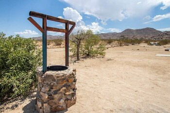 joshua tree