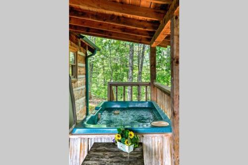 view private studio cabin hot tub relax honeymoon
