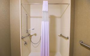 hampton inn and suites by hilton flowery branch lake lanier