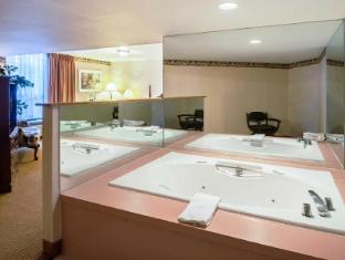econo lodge metro