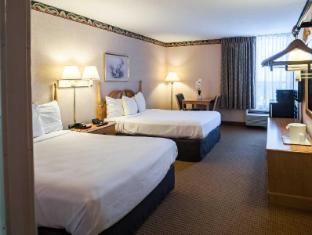 econo lodge metro