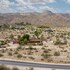 joshua tree