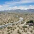 joshua tree
