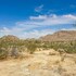 marbella lane the wine mine desert escape