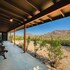 joshua tree