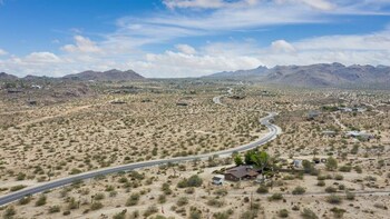 joshua tree