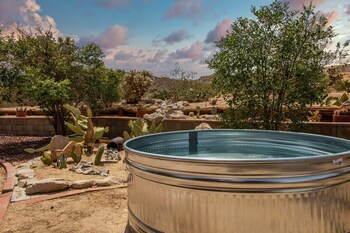 marbella lane the wine mine desert escape