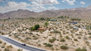 joshua tree