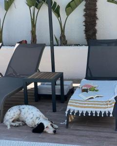 cesme