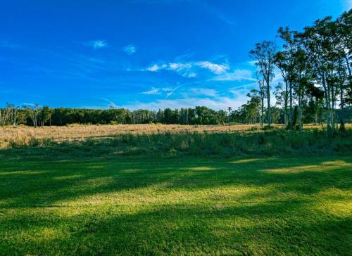 island palms motor inn