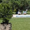 Masseria Corda Di Lana,Lecce>>Brindisi,4 star