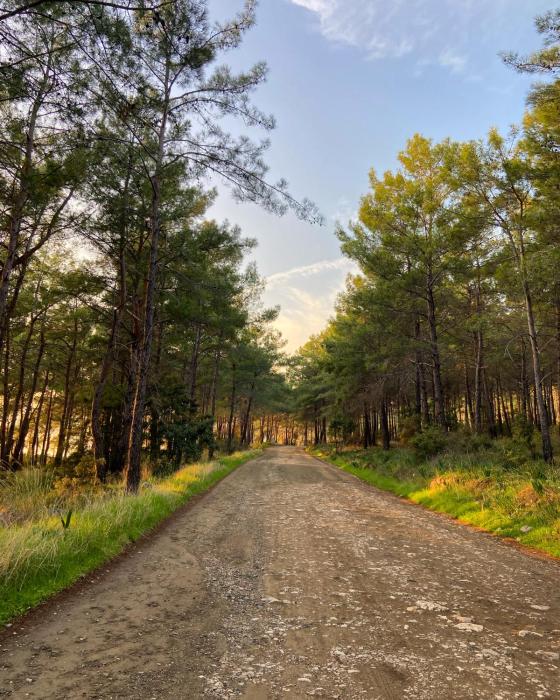 karaoz sapphire bungalows