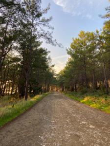 karaoz sapphire bungalows